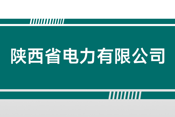 陜西省電力有限公司